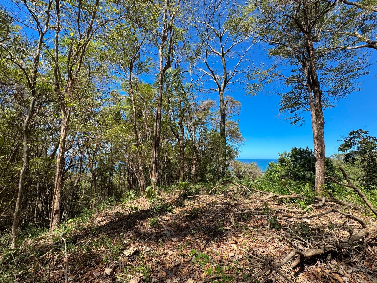 Refined Ocean View Development Parcel, Santa Teresa, Puntarenas