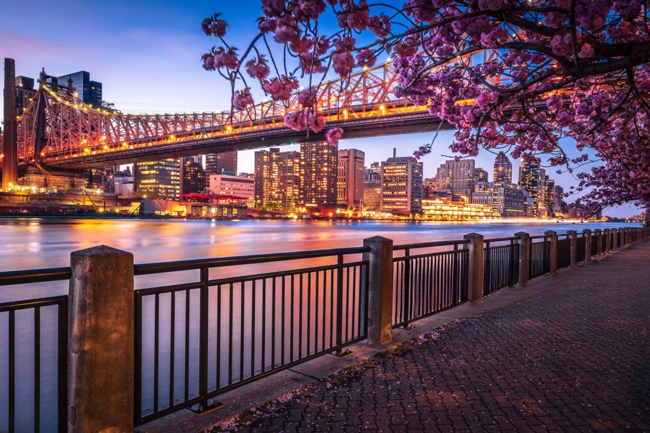 The Market Report: April 2026