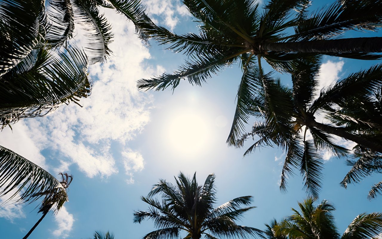 July 2021 Real Estate Update