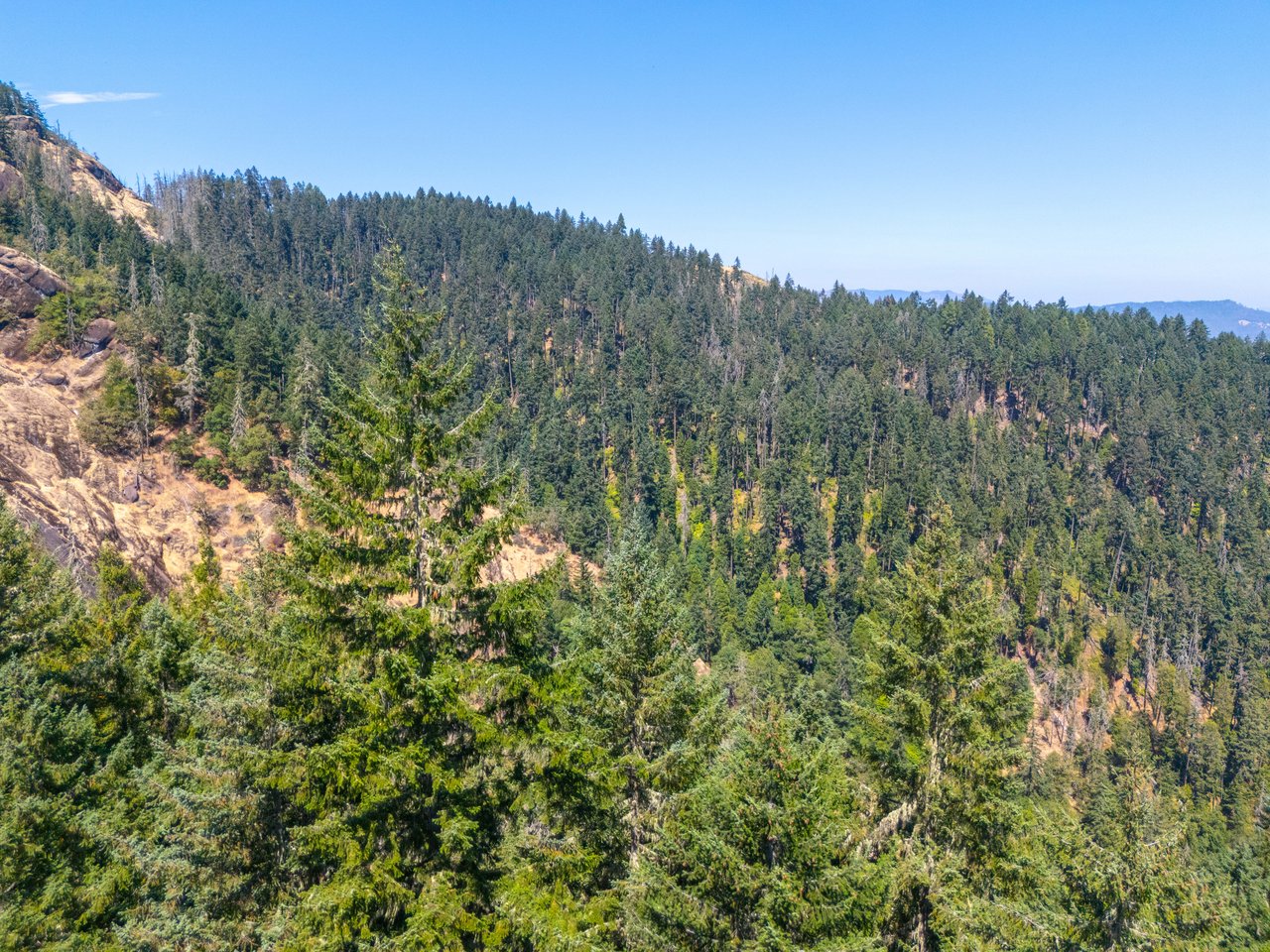 STRICKLAND BOULDER FOREST