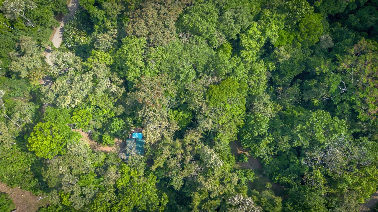 Private Jungle Oasis ! 1 Bed, 1 Bath Hatillo Haven
