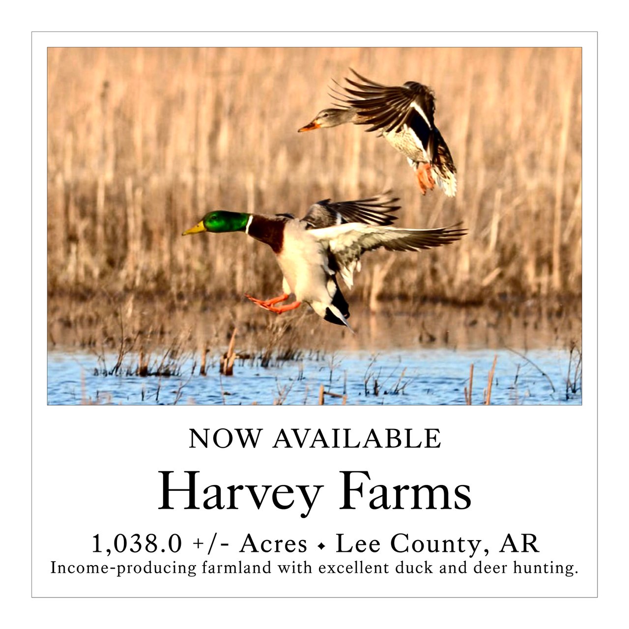 Harvey Farms