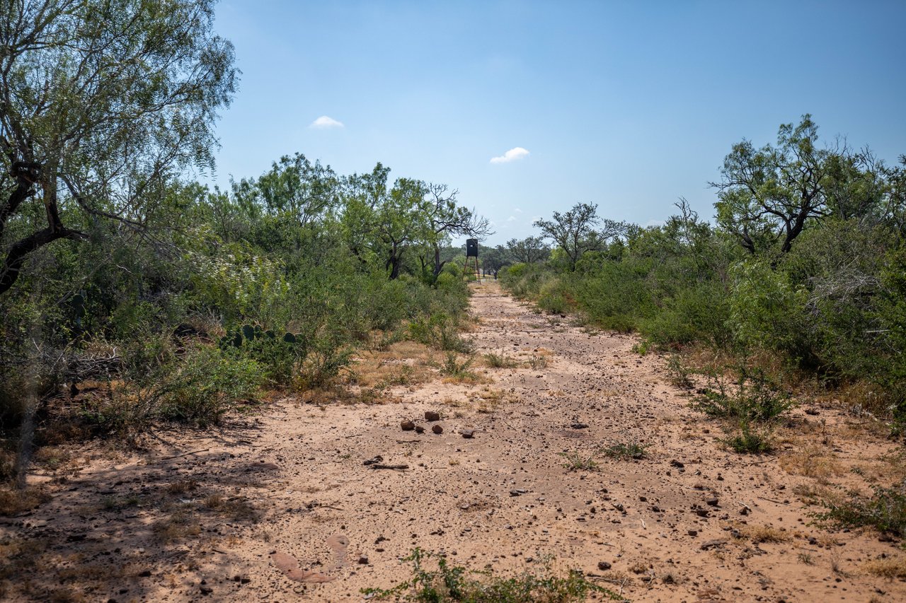 Oaks, Wildlife, & the Quiet of the Countryside | 26.99± Acres | Poteet, TX
