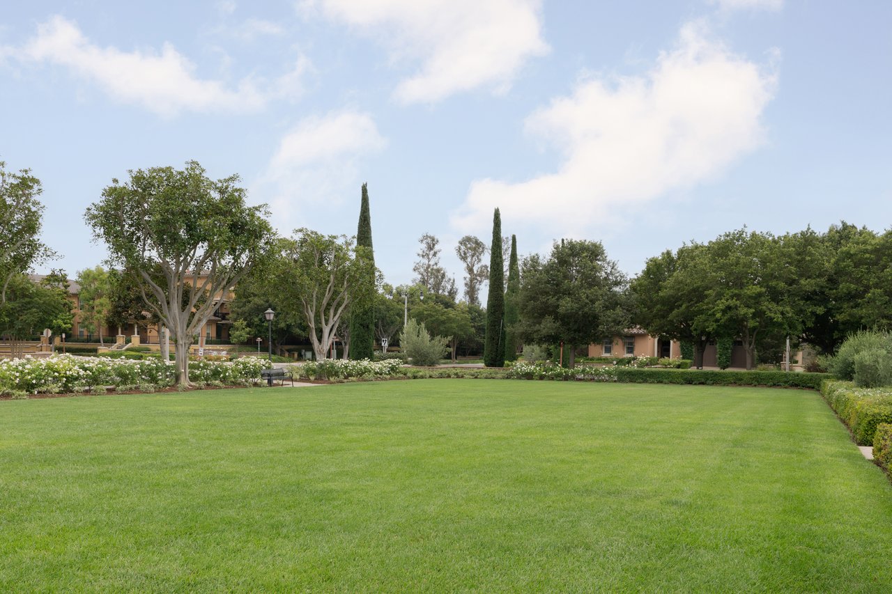 Olive Grove Park