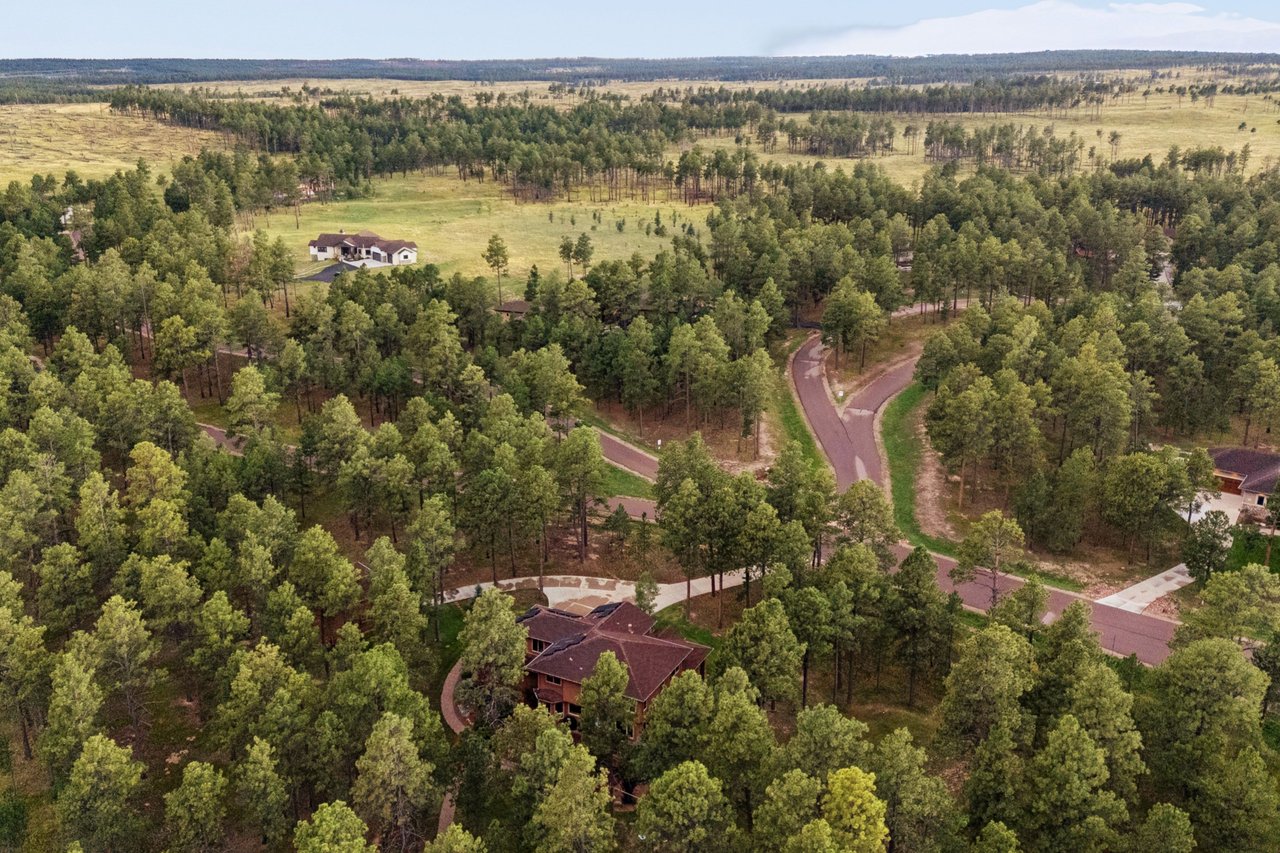 14953 Snowy Pine Point