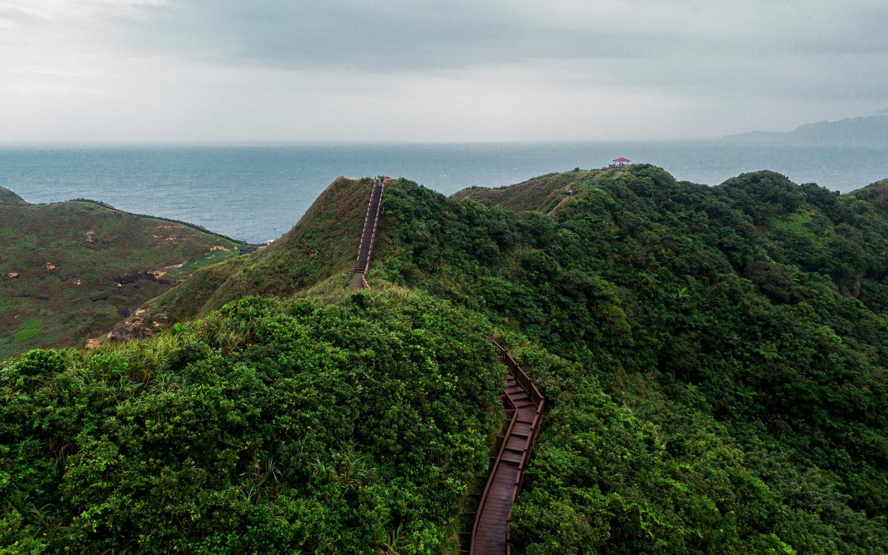 Wooden stairs cross a lush coastal ridge overlooking the ocean.