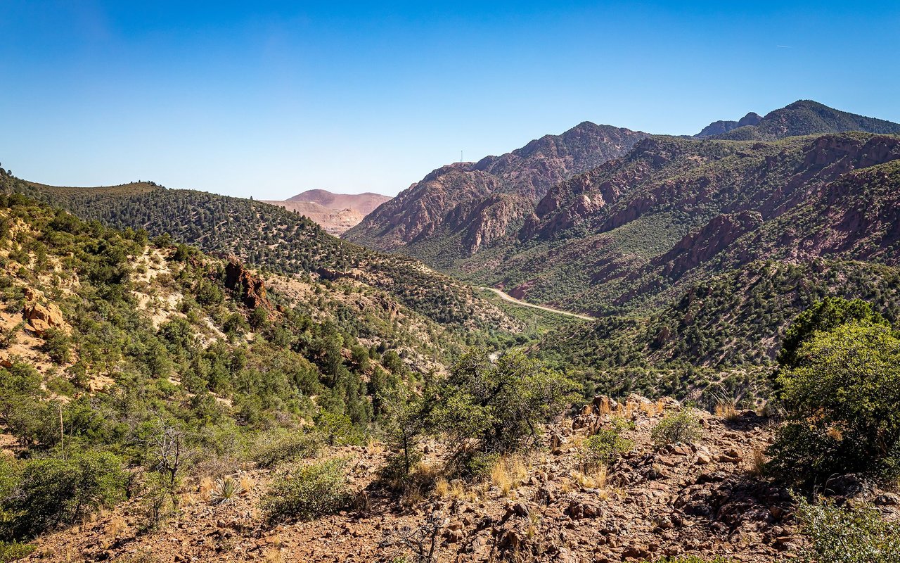 Springerville