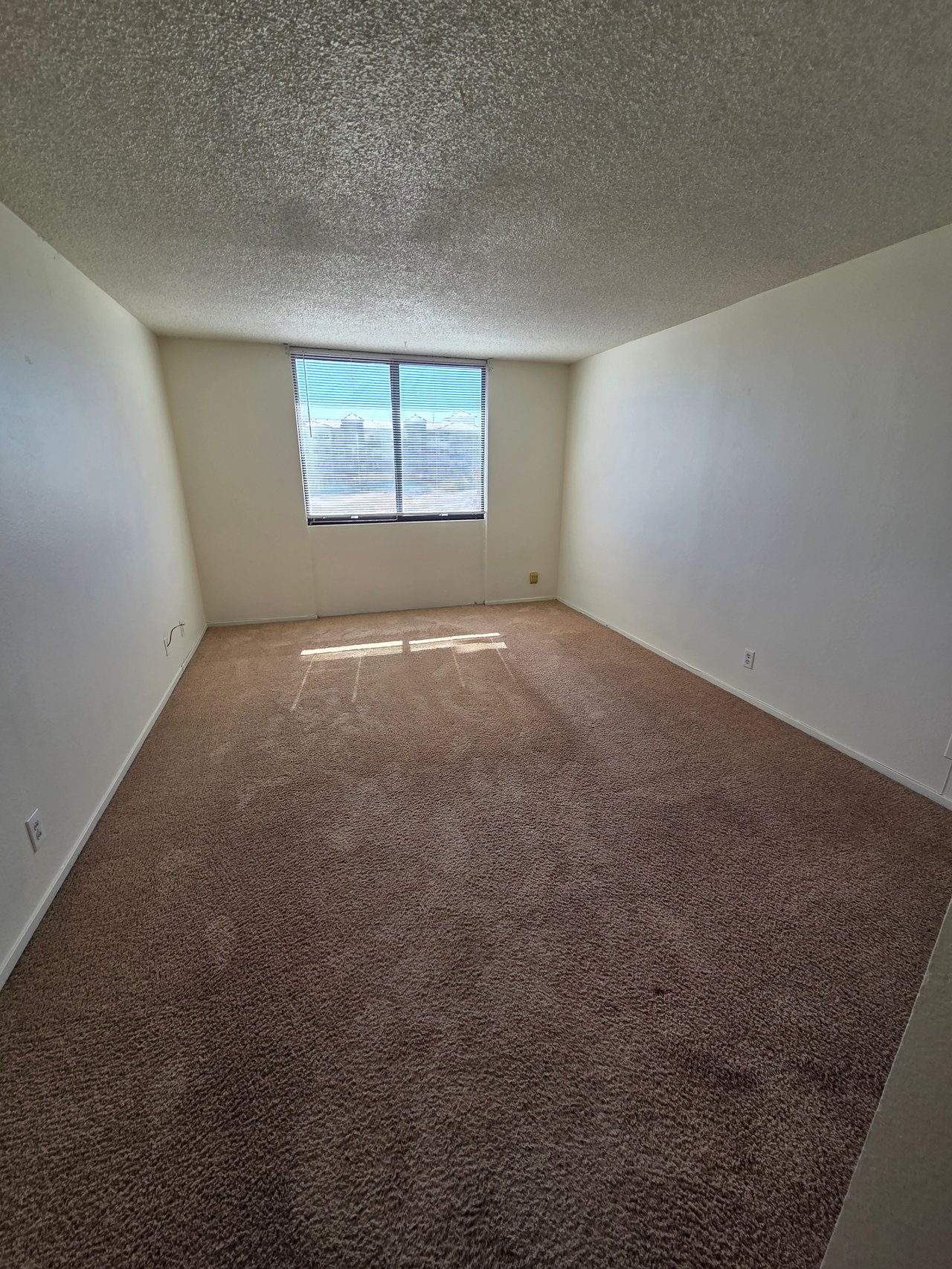3930 University Center Drive #204