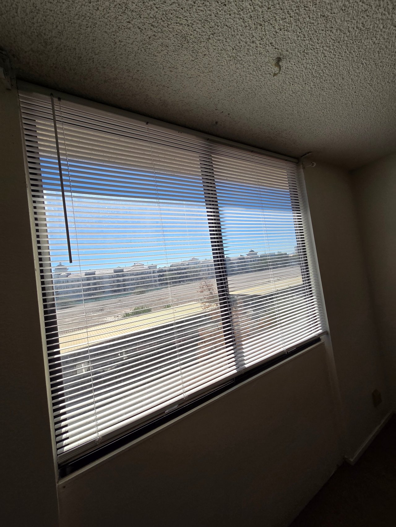 3930 University Center Drive #204