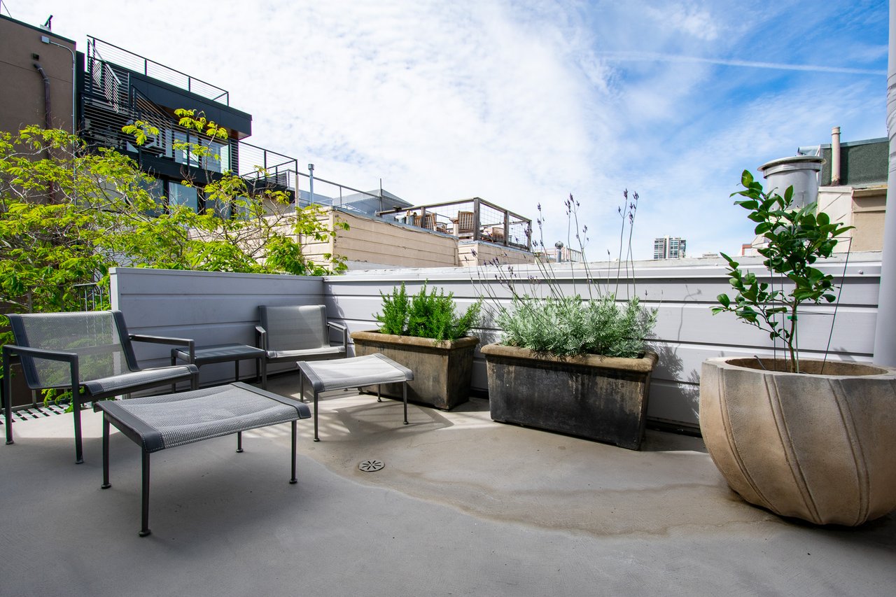 Contemporary Telegraph Hill Oasis