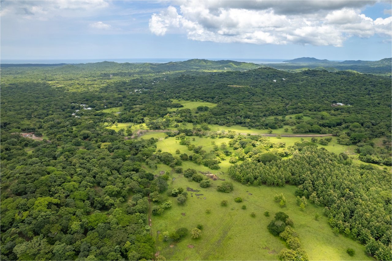 Prime Lot in a Serene Setting, Tamarindo, Guanacaste