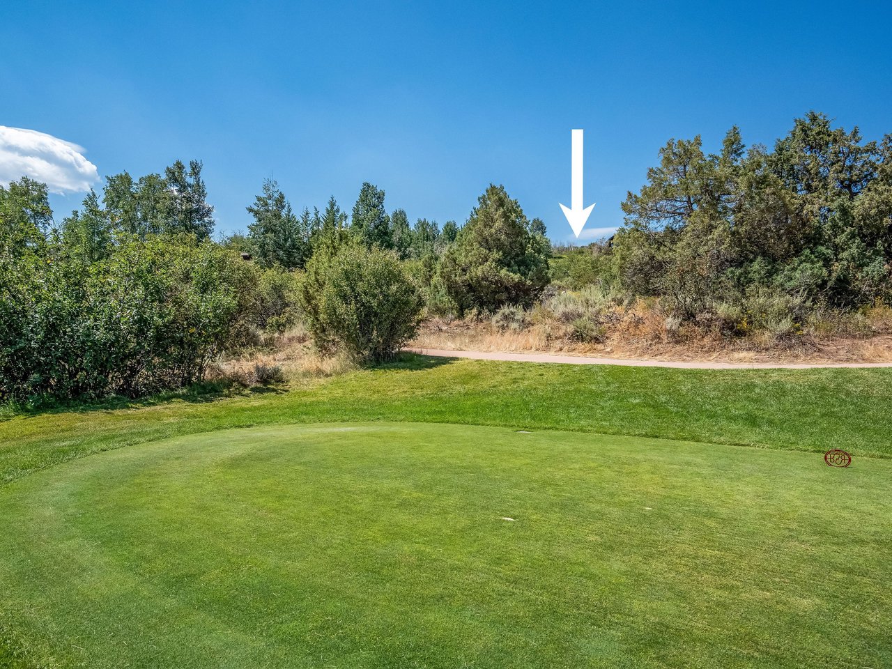 217 Saddle Rock