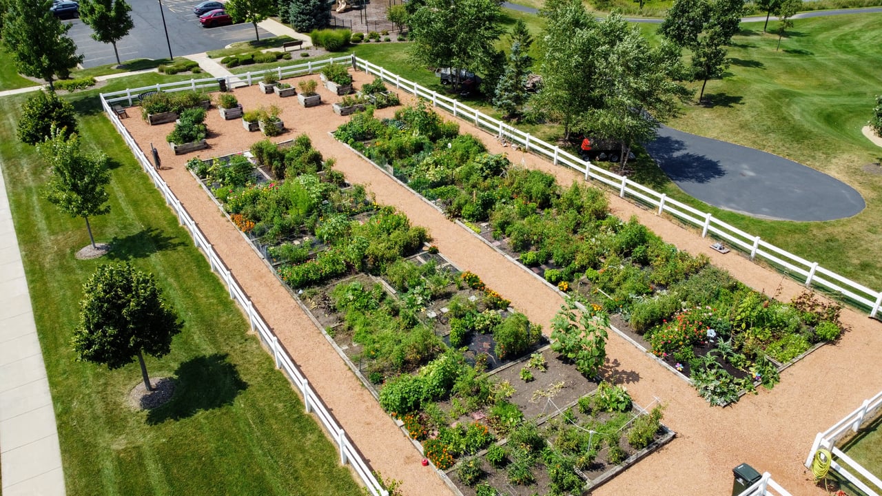 Carillon Club Community Garden where residents can grow their own vegetables, plants and flowers