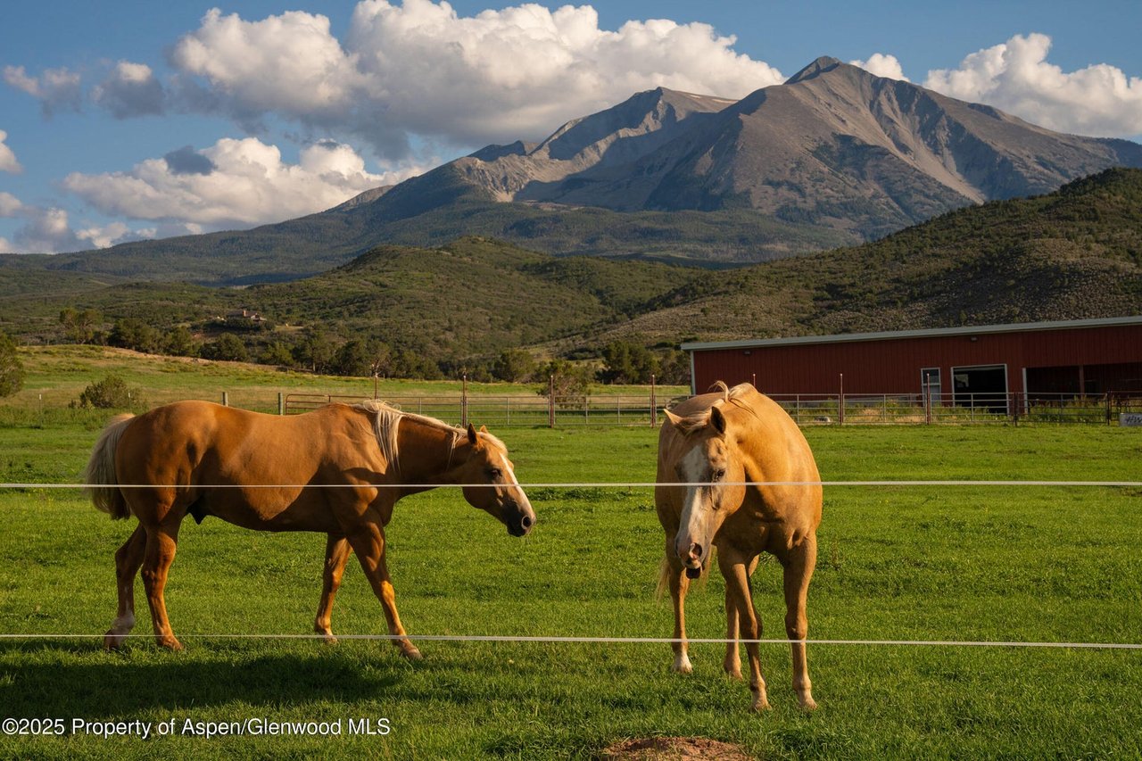 1644 Prince Creek Road