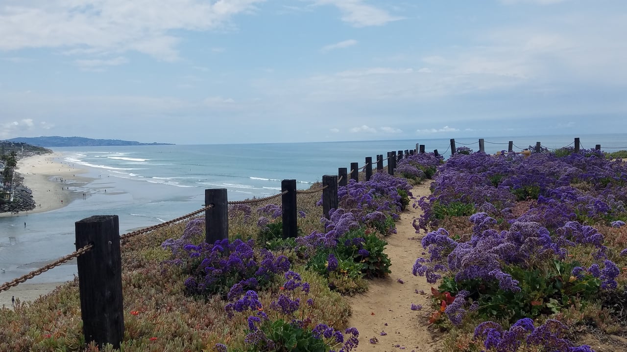 Solana Beach Market Report October 2026