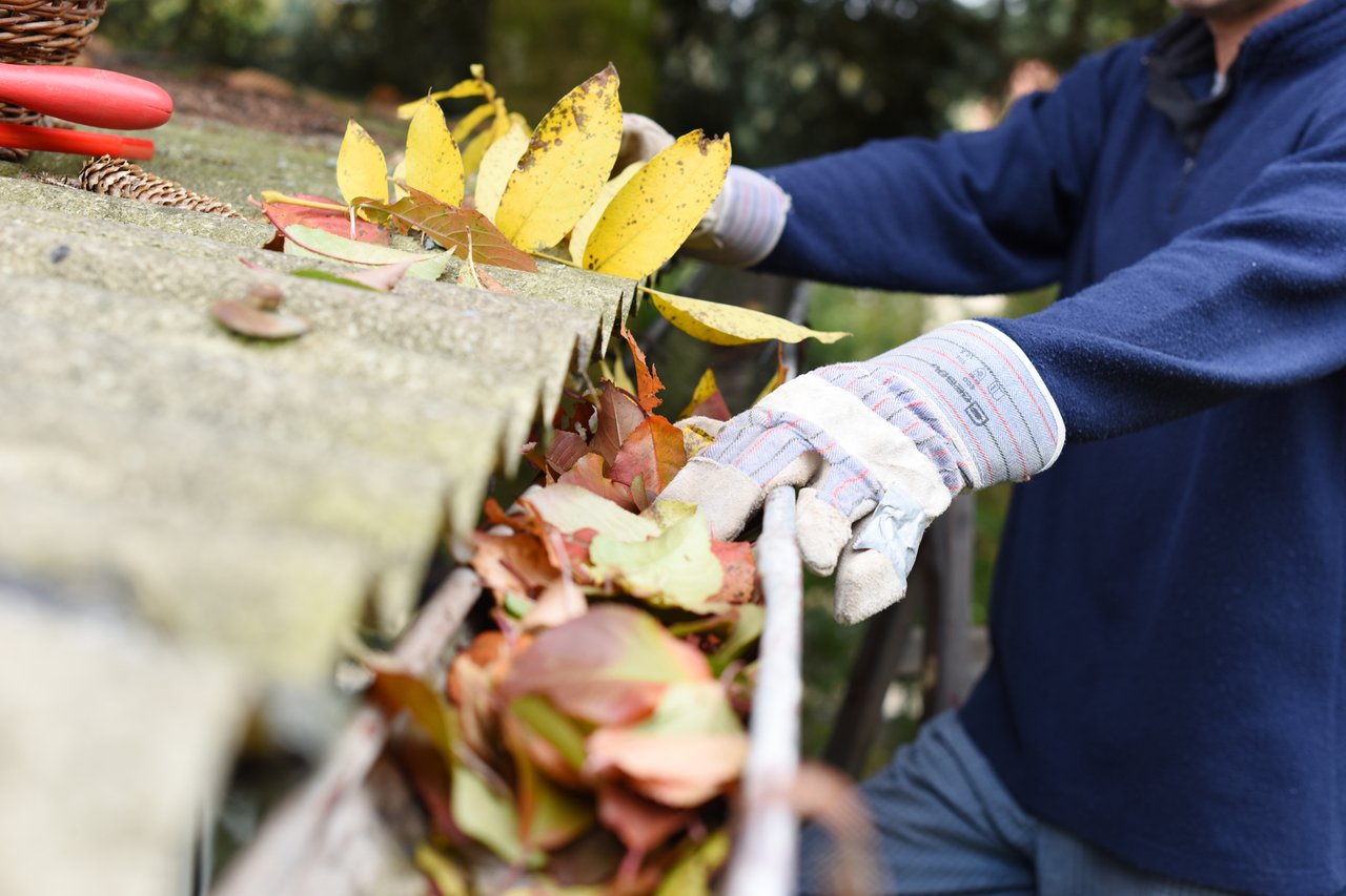 The Chicago Homeowner's Summer Prep Checklist