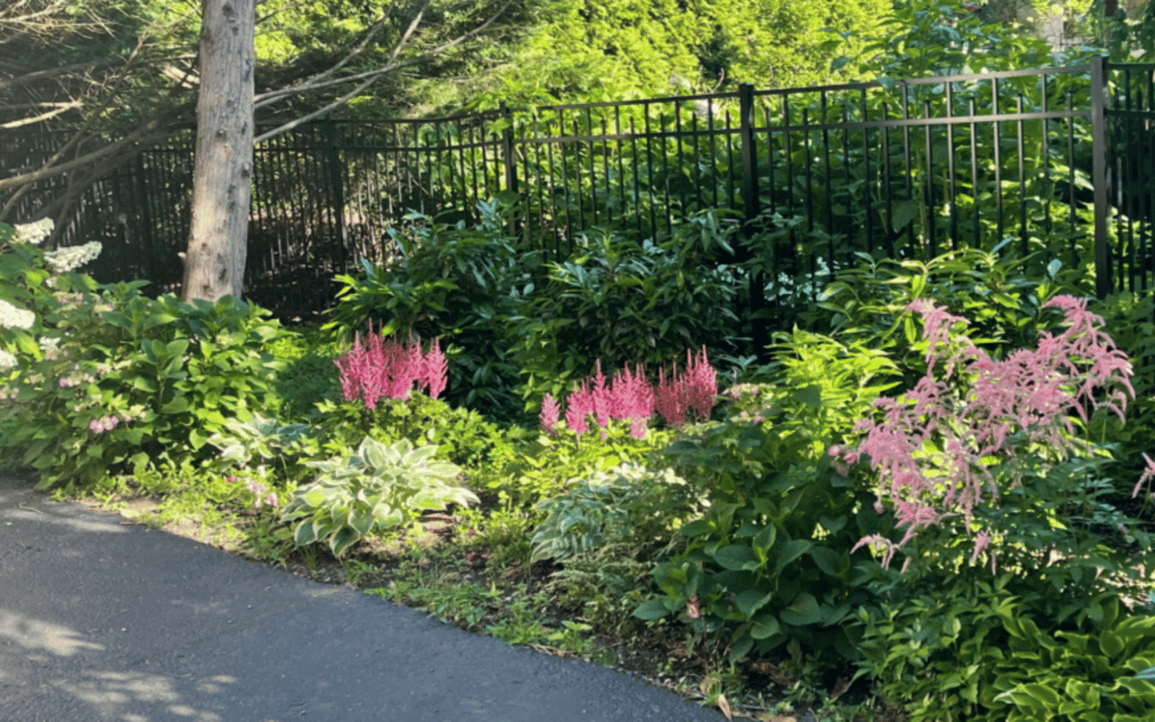 Fall Gardening & Eco Friendly Lunch Containers cover