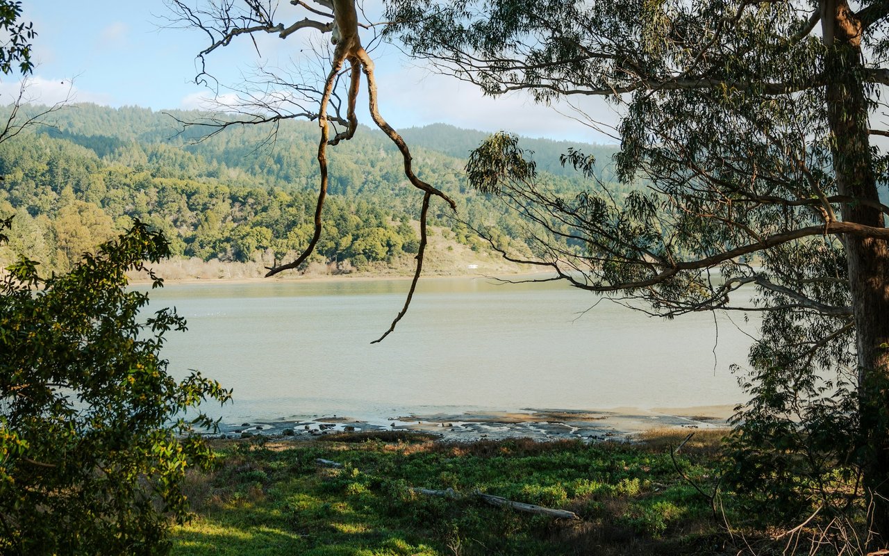 Lake bordered by wooded hills, framed by overhanging tree branches.