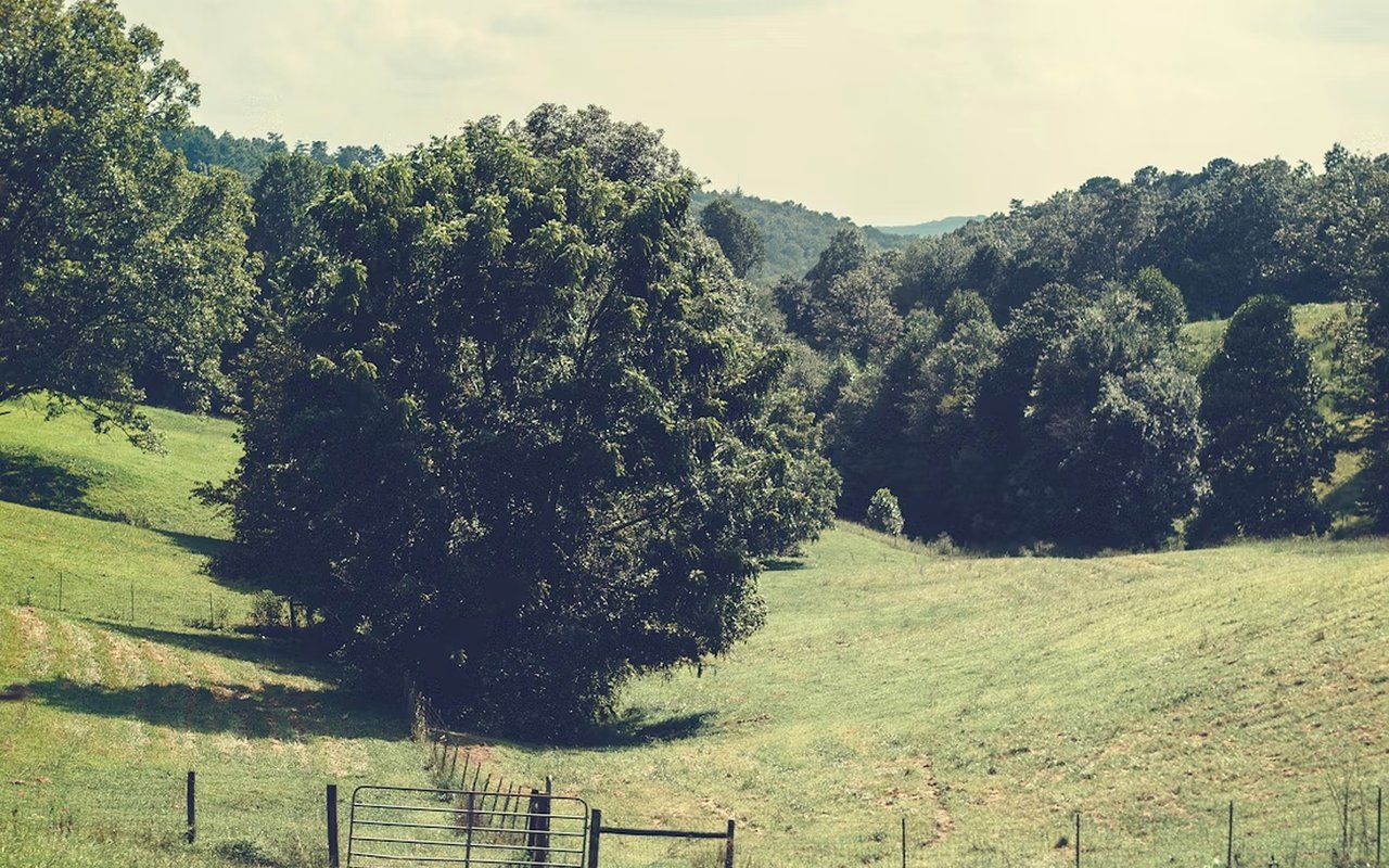 Buying Land in Blue Ridge: Tips for Building Your Dream Home