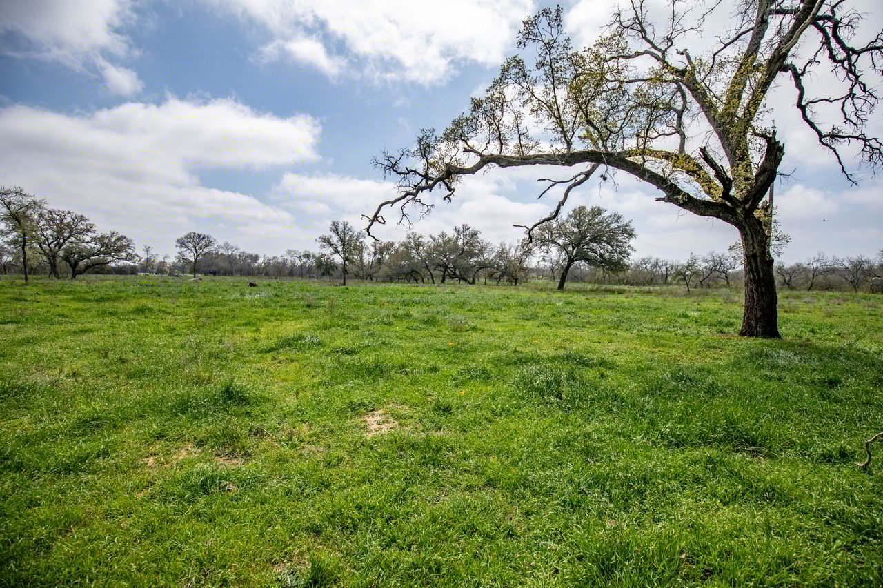 Dry Hollow Creek Ranch | 24.29± Acres | Bexar County