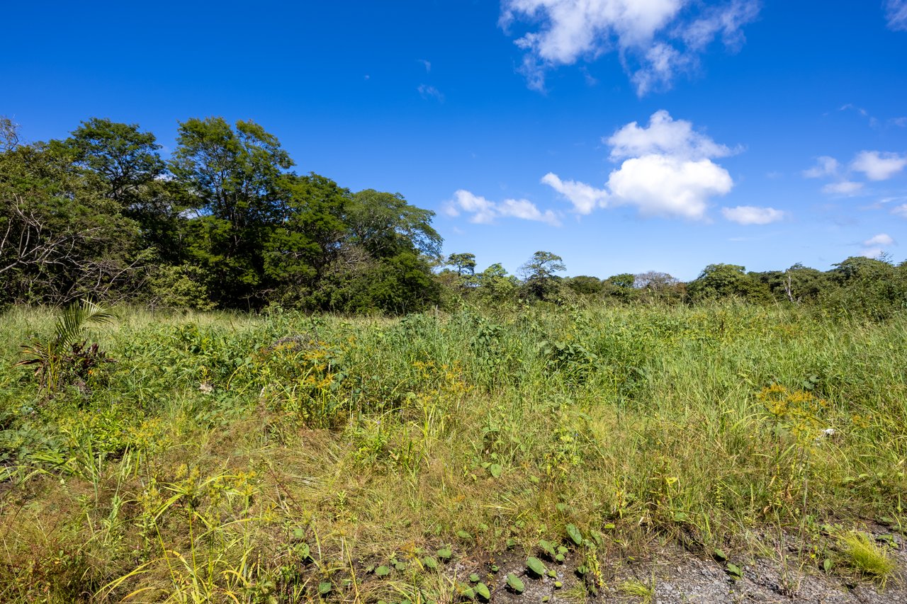 Los Jobos Lot #1 | Flat 943 m² Buildable Lot Minutes from Tamarindo Beach