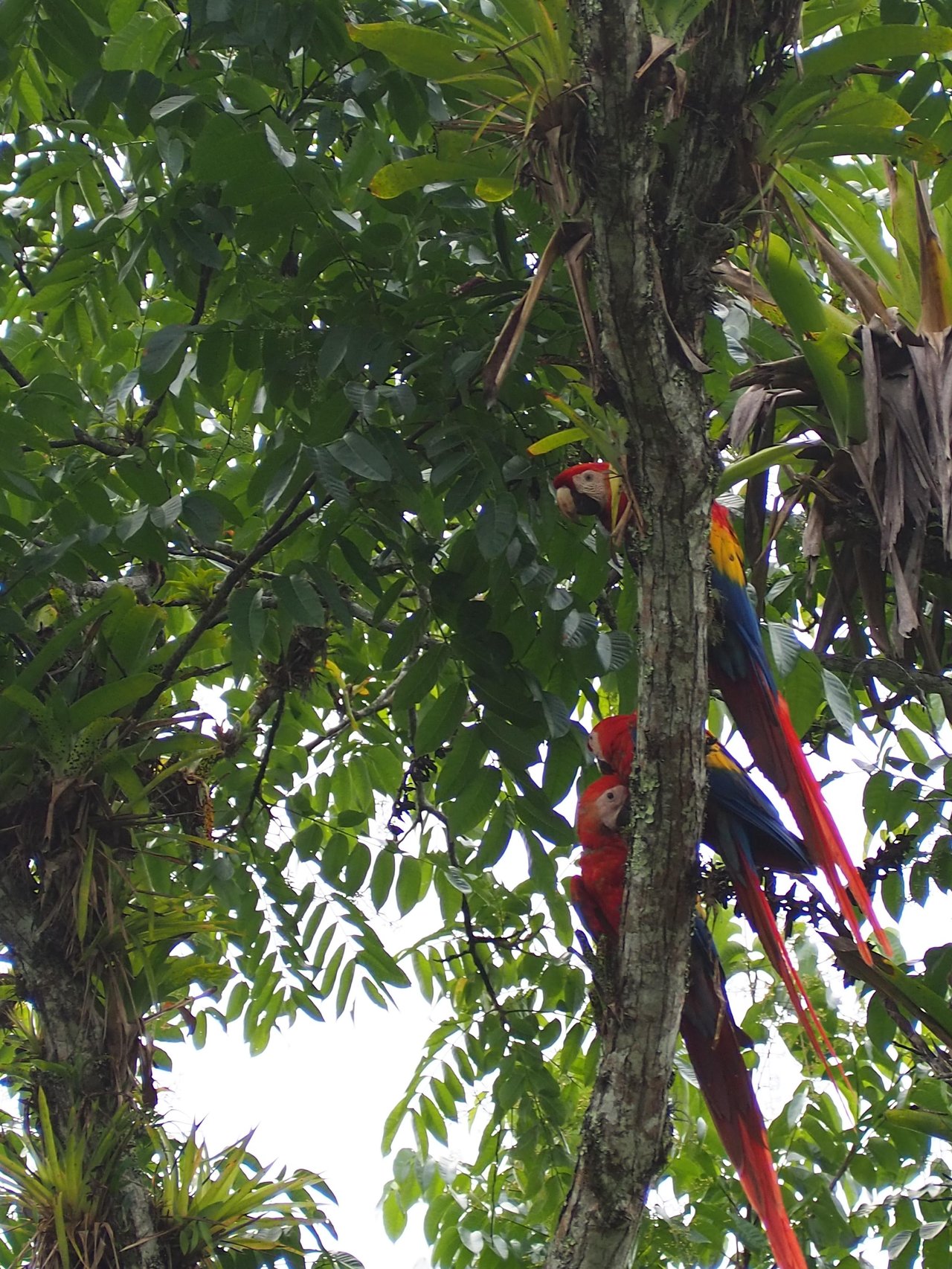 Eco Property Media Luna