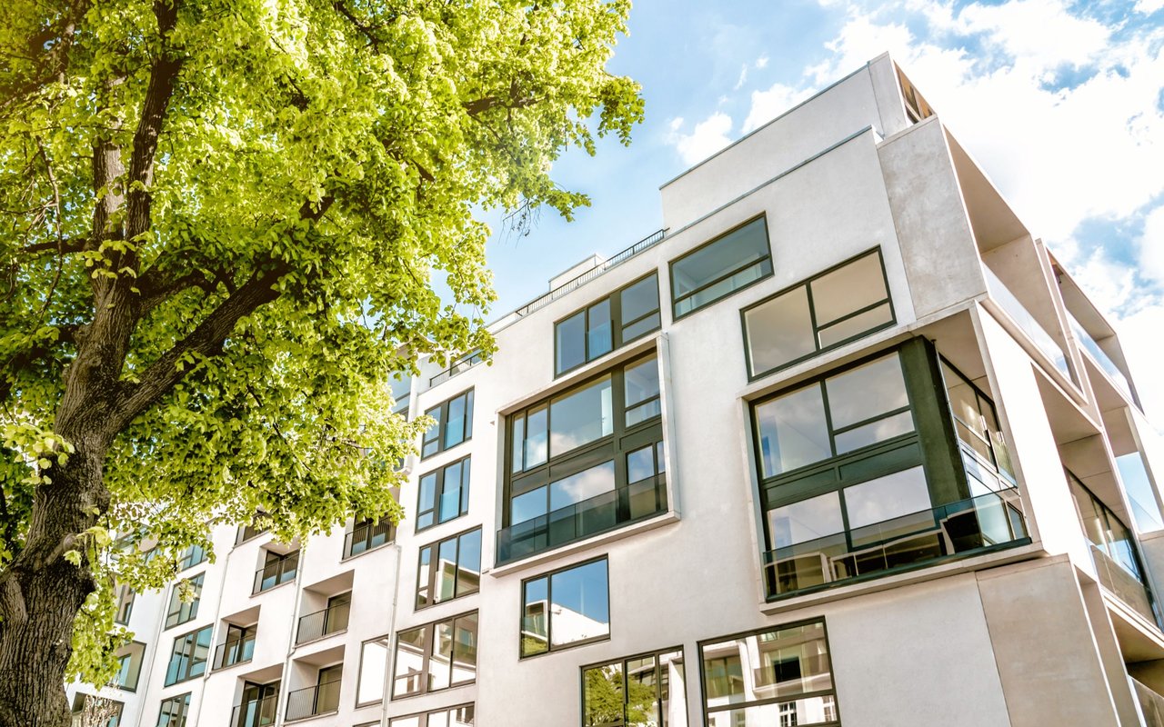 contact-form-background