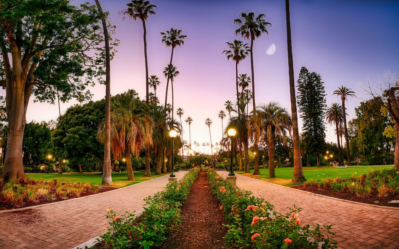  A scenic view of a park pathway at dusk, flanked by numerous tall palm trees and illuminated by glowing lampposts.