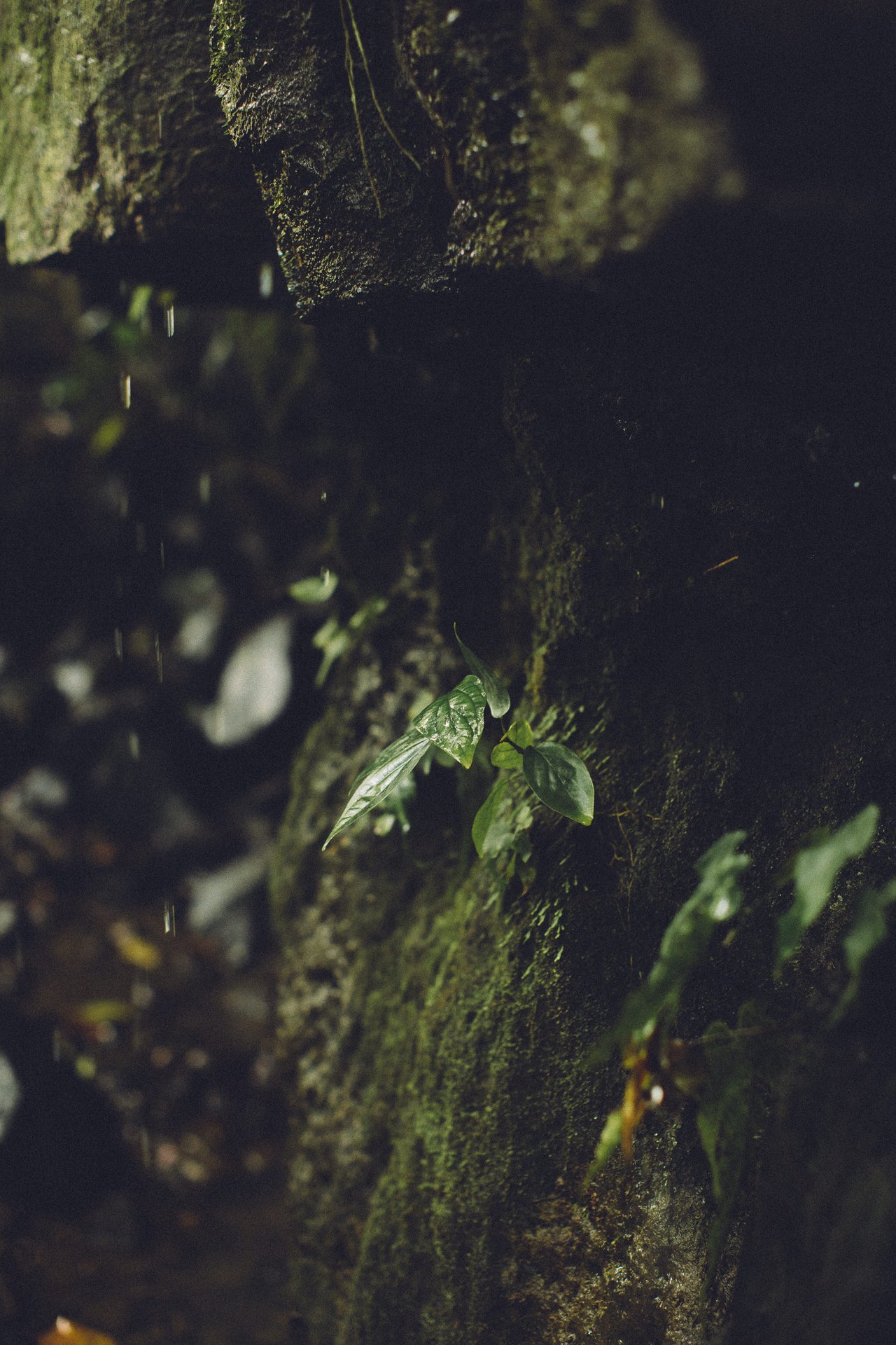  Punta Sabana & Mar Serena