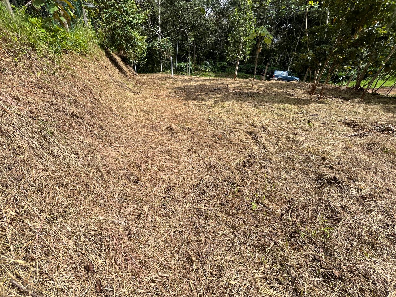 Affordable Uvita Lot UNDER $200-per-sqm - Perfect for Your Dream Home or Airbnb Investment
