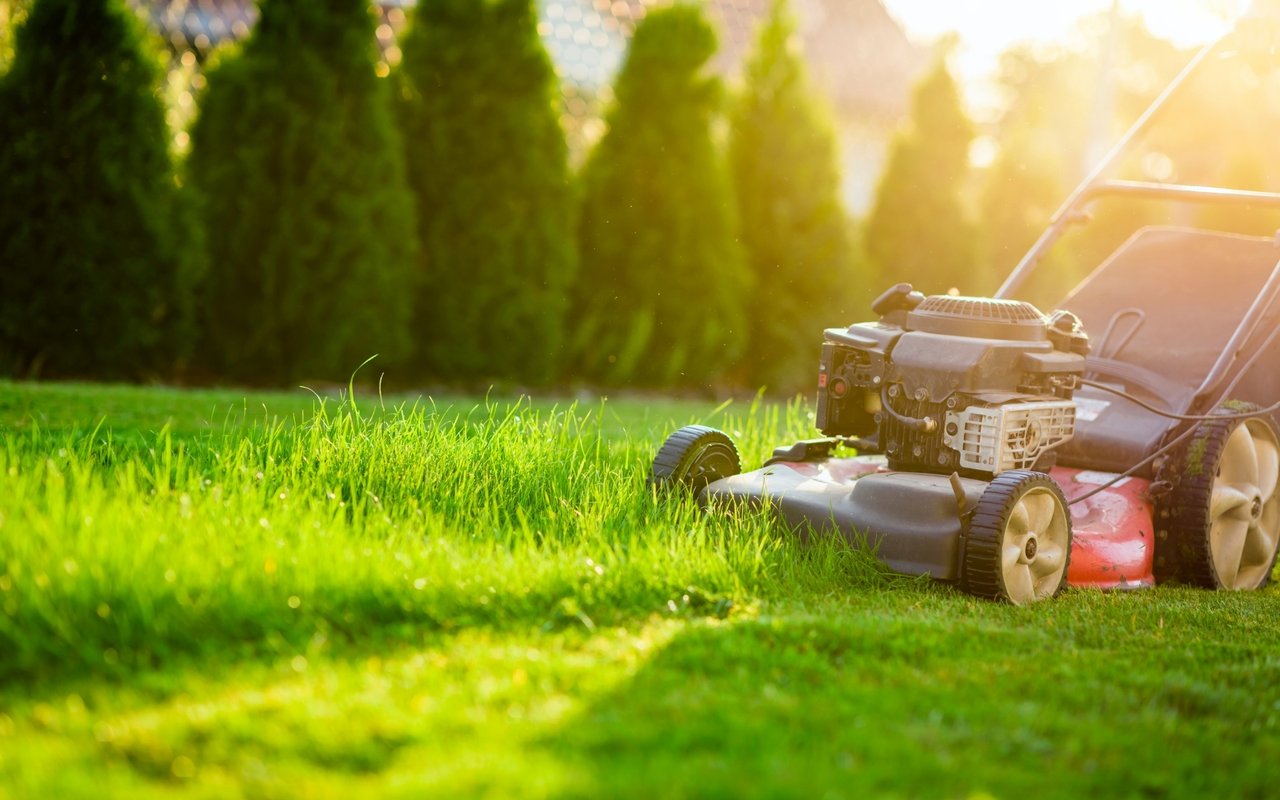 What Things Can Decrease Your Home’s Value?