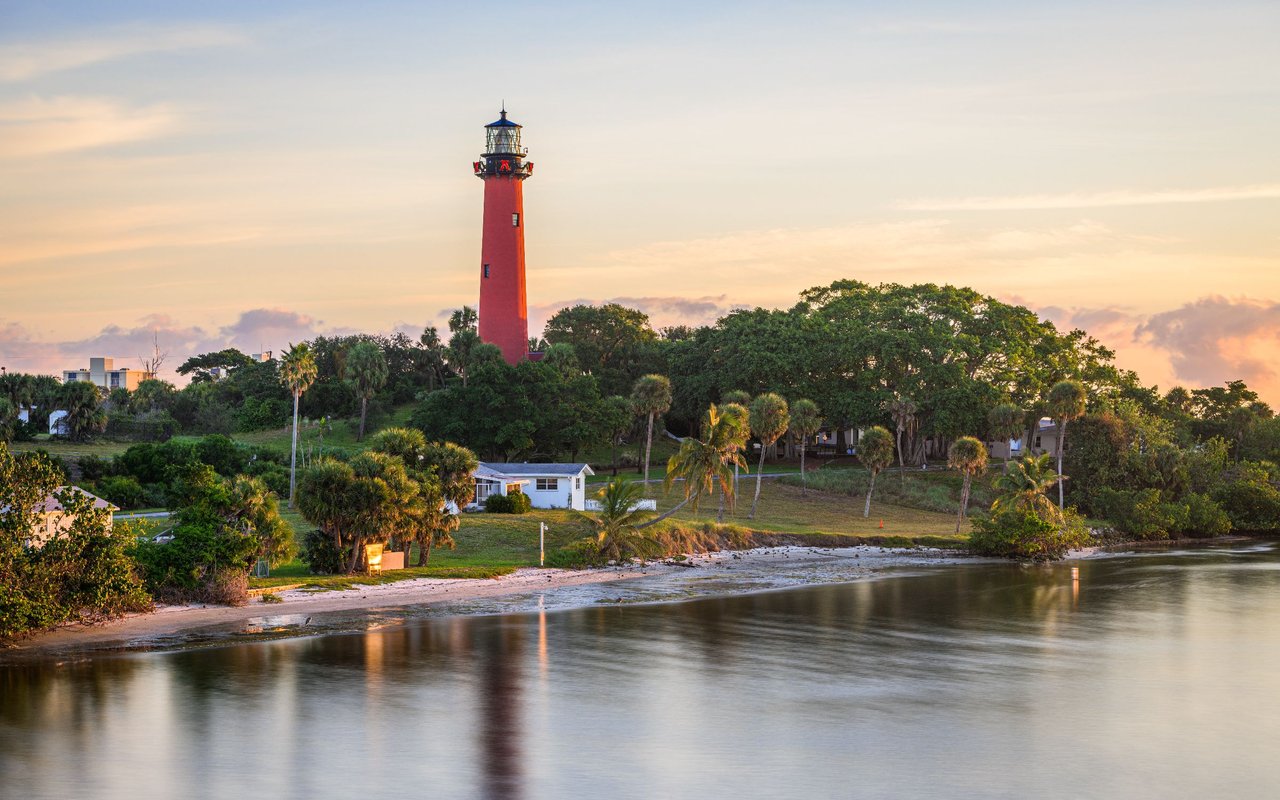 Form Image