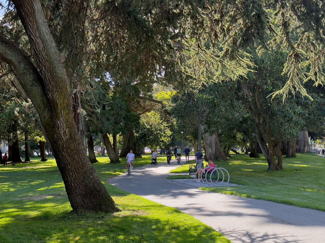 District 6 – Central North