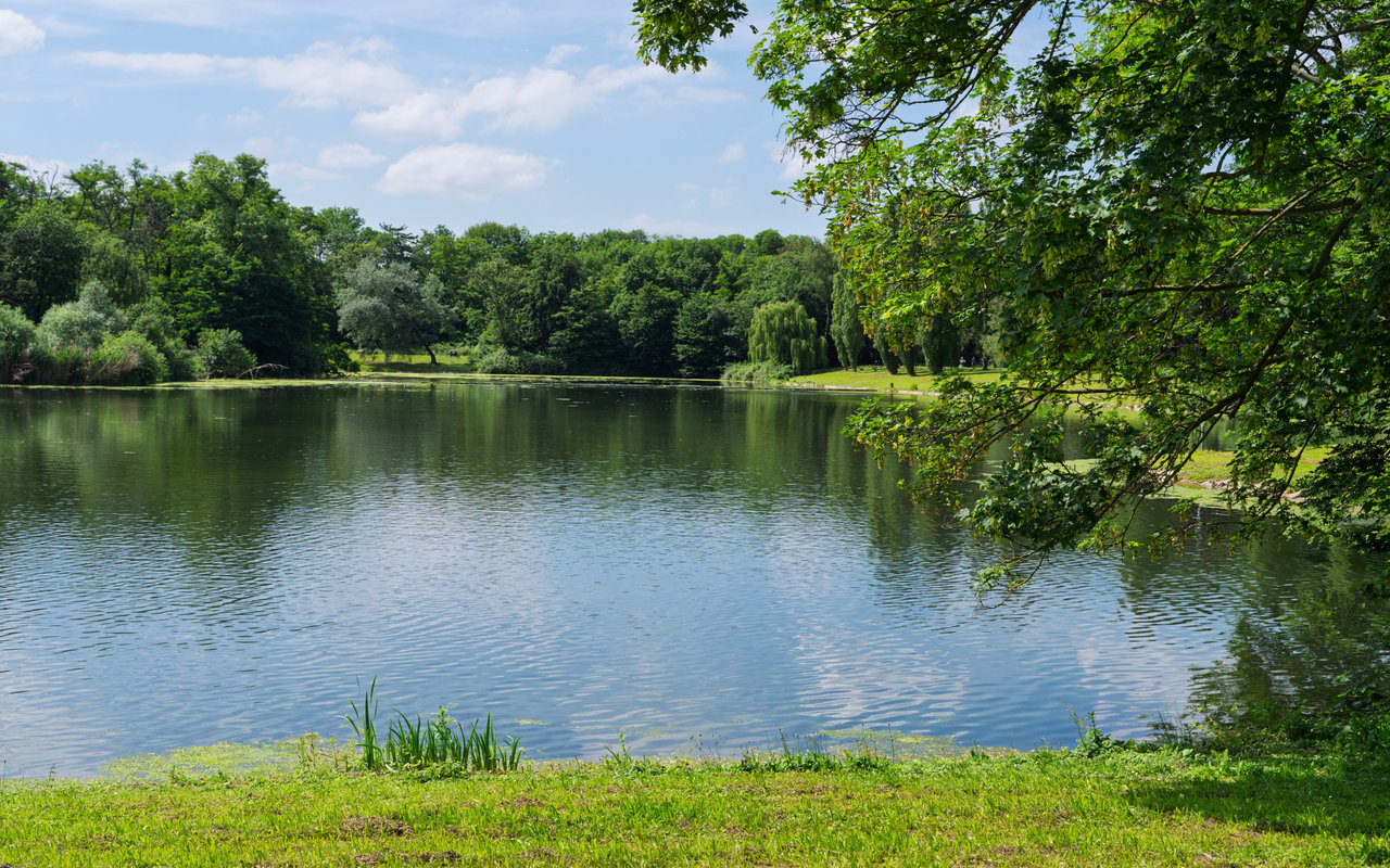 Magnolia Lakes