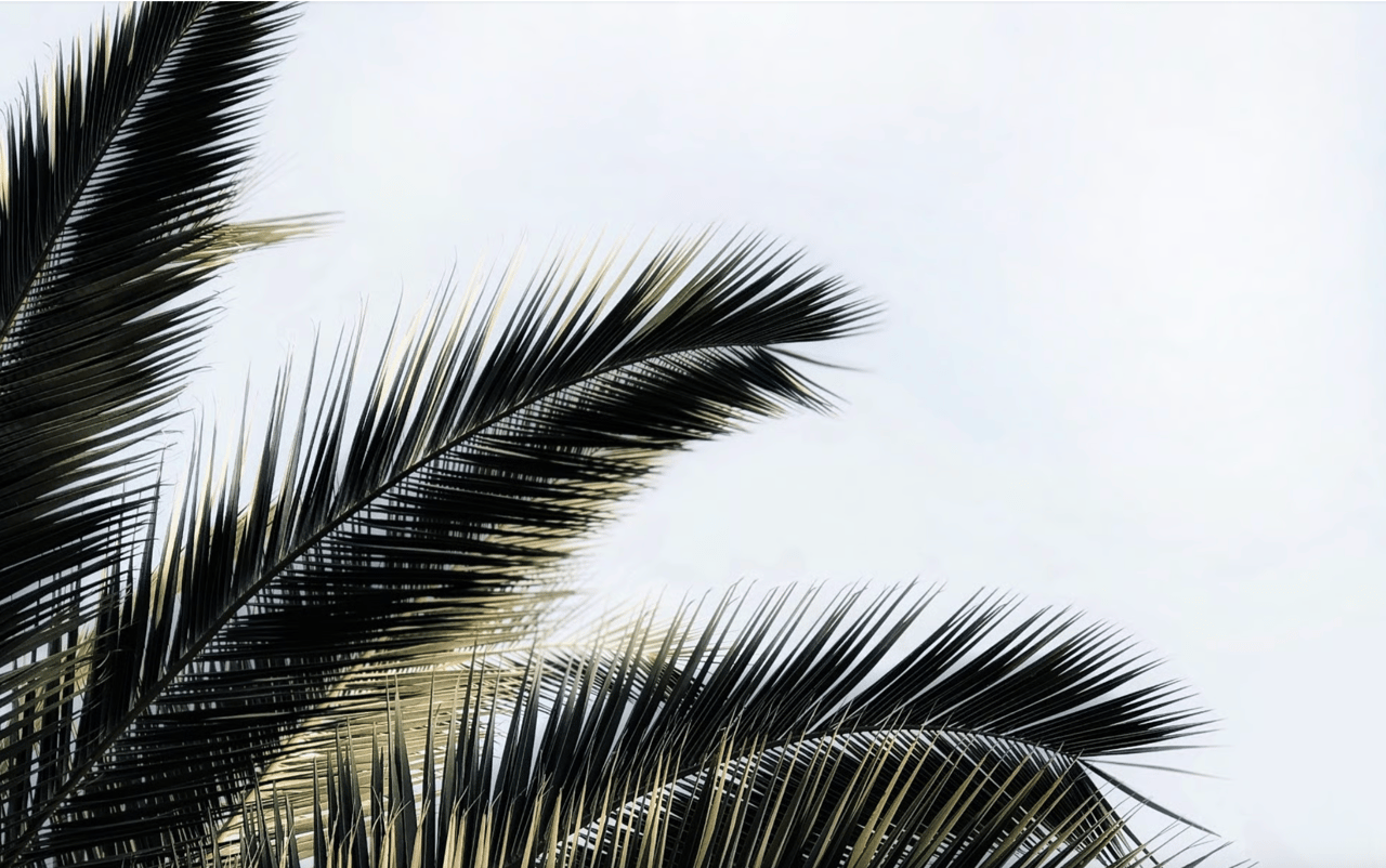 Lower Rates, Stronger Leverage: Why 2026 Is Shaping Up as a Smart Buying Window in Los Angeles Coastal Real Estate