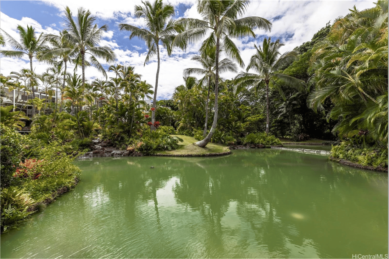 Windward Cove | Kailua Town