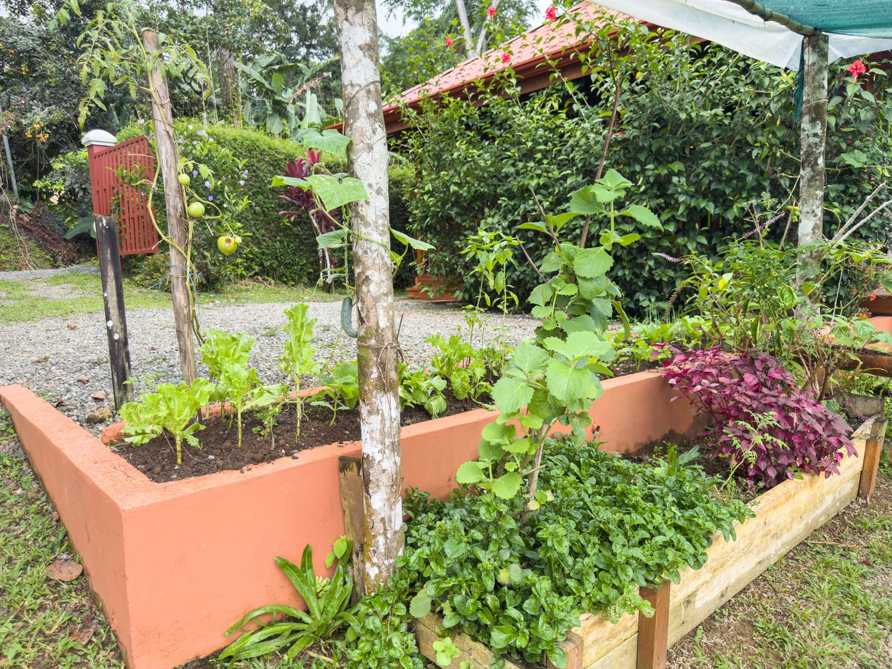 Baru, 2 bdrm home + studio casita Diamonte waterfall view