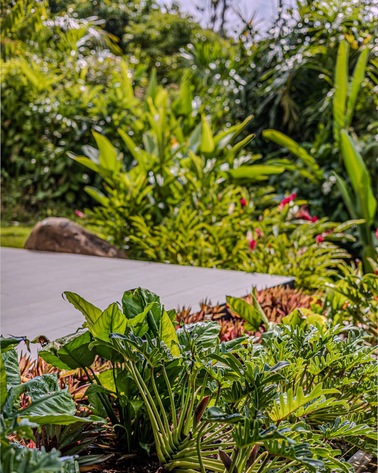 Modern Luxury Villa with Panoramic Ocean Views & Proven Rental Performance | Hills of Portalón