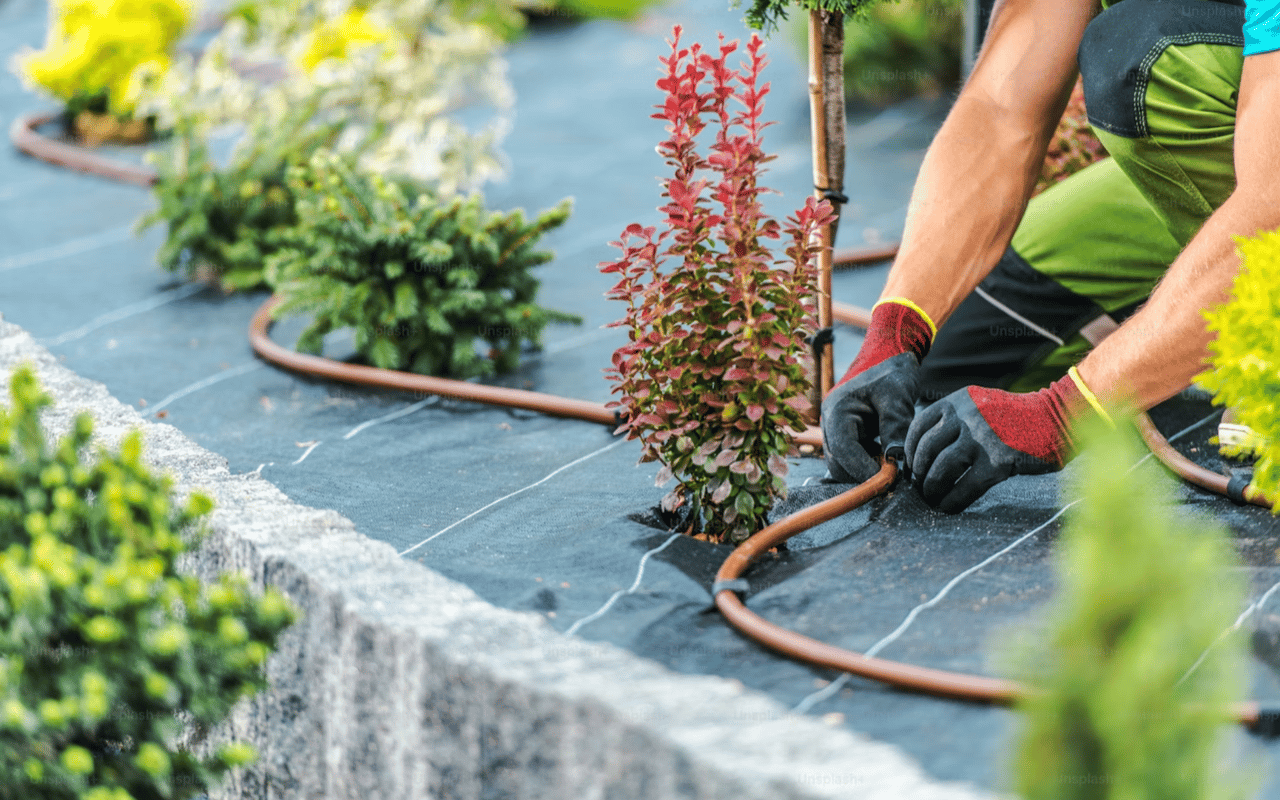 How to Boost Your Home's Curb Appeal in One Weekend