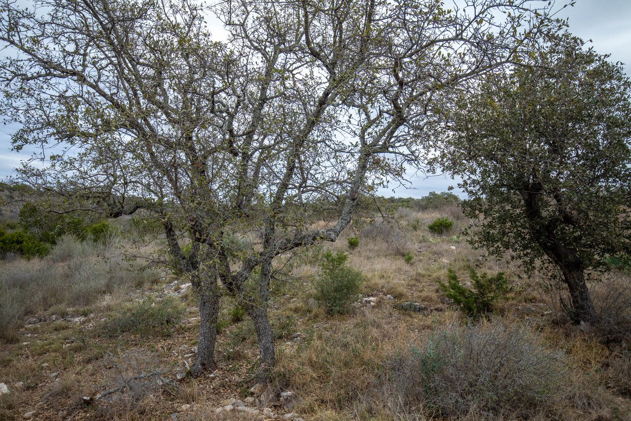 Big Creek Ranch Lot 94 | 1.615± Acres | Kingsland, Burnet County, TX