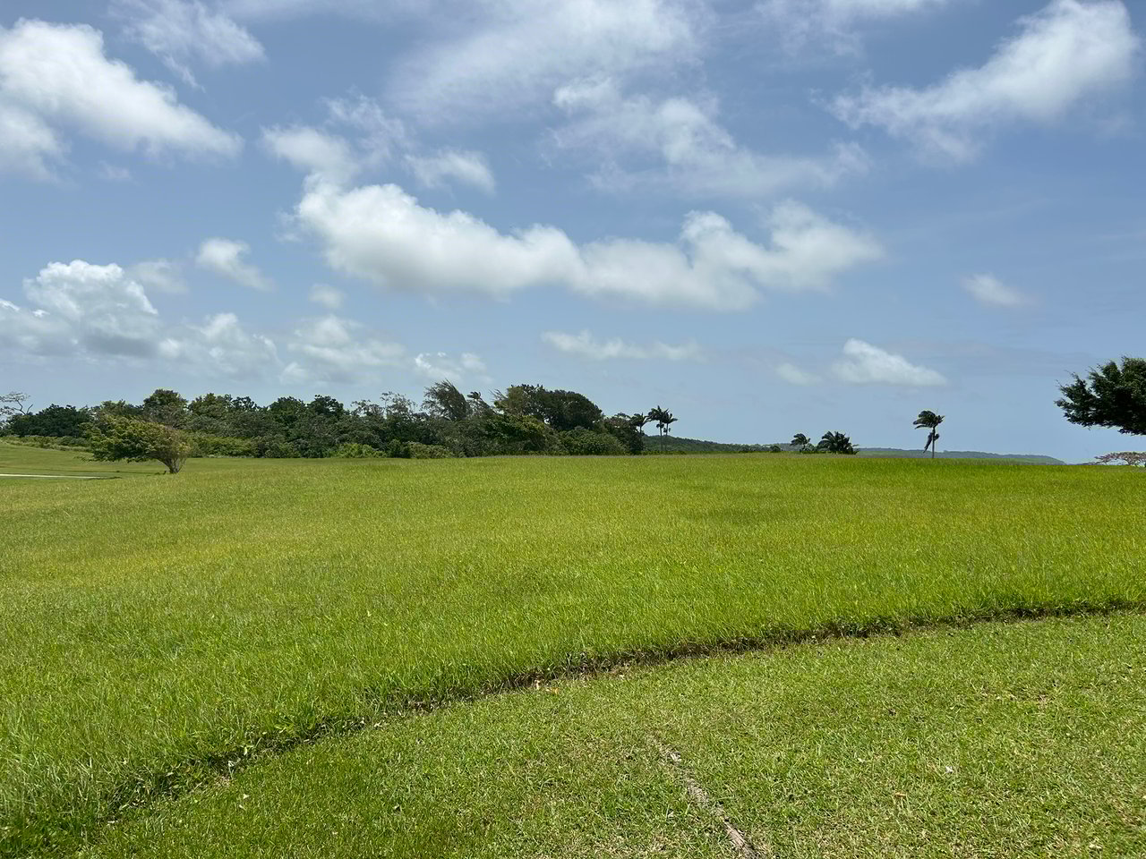 Apes Hill, Holders Meadow, H16
