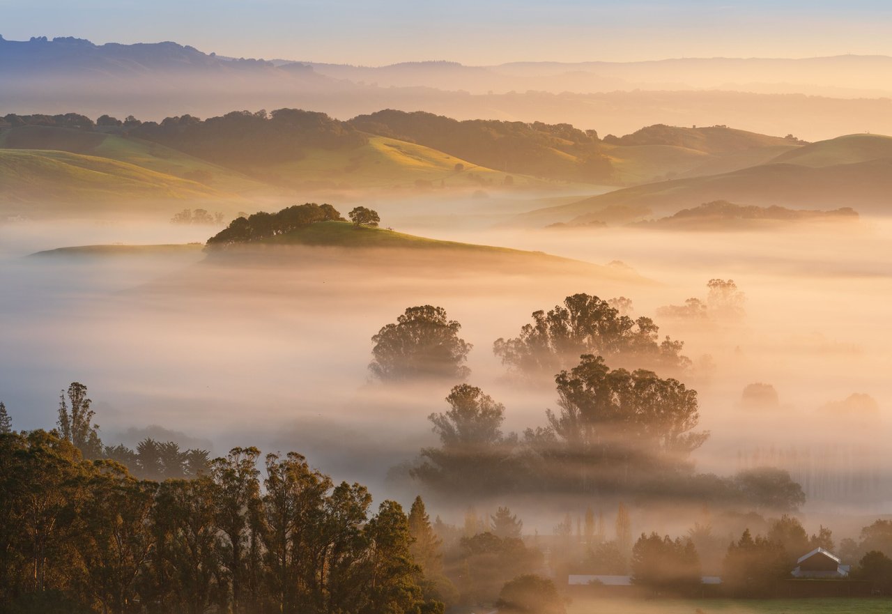 COTATI