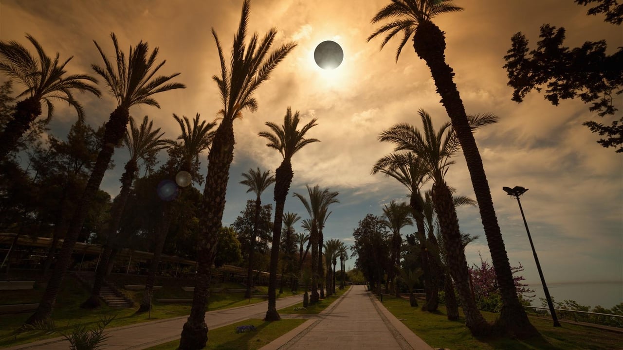 Solar eclipse above palm trees representing upcoming eclipses and sky events visible in Florida