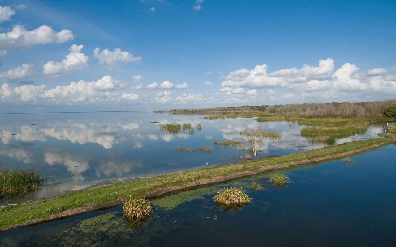 Lake Apopka and surrounding wetlands in Apopka, Florida