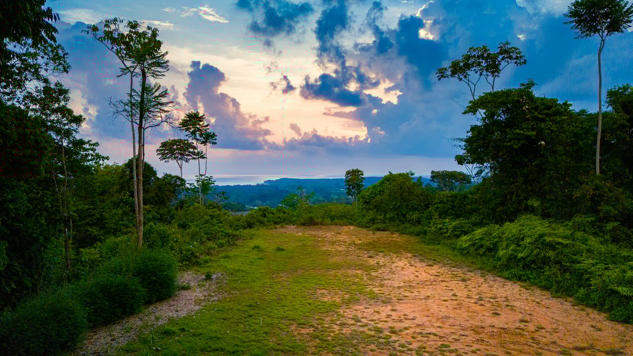 Phenomenal Ocean and Whale Tail View Lot In Uvita