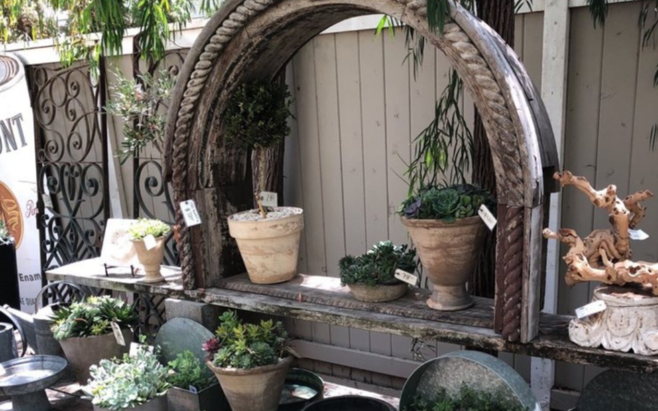 Local Business Spotlight: Molly Woods Gardens