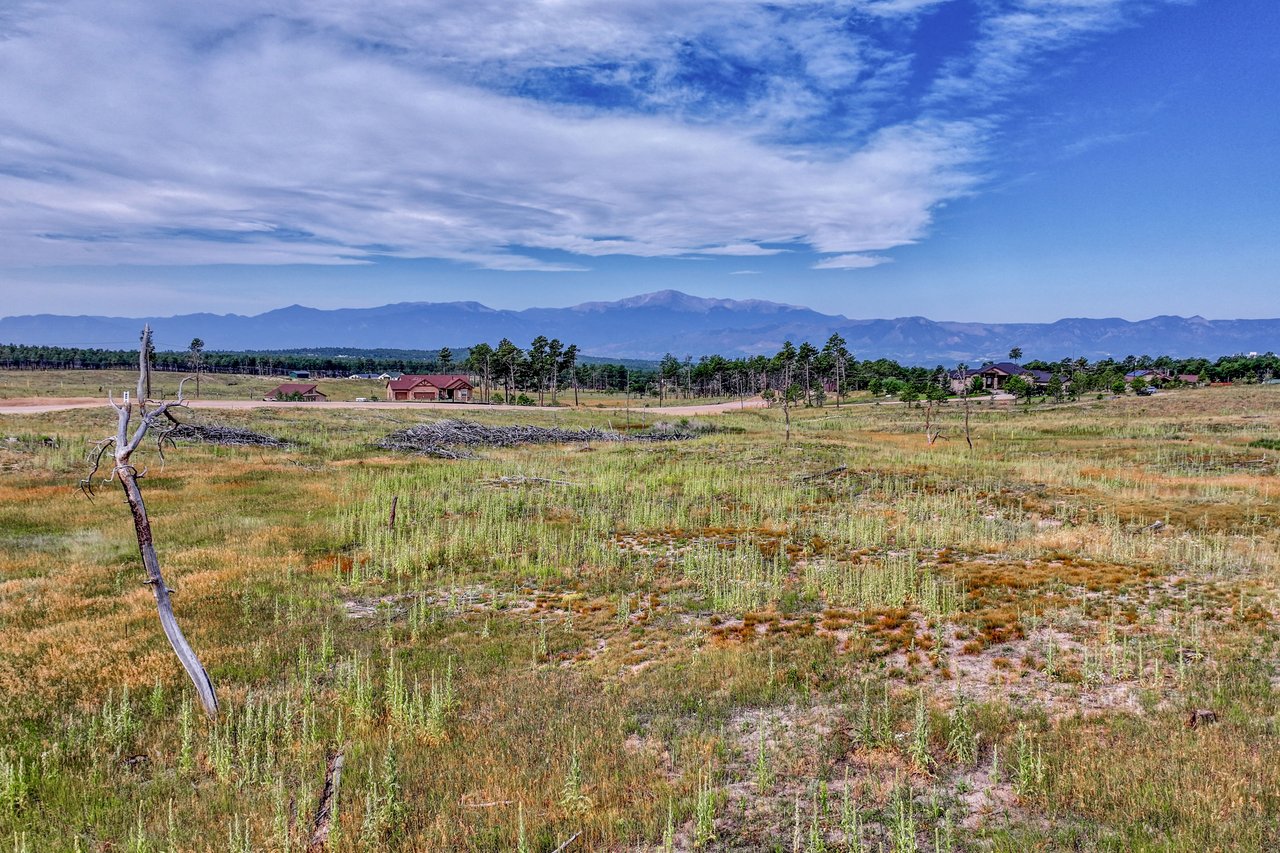 lot 1 Forest heights Circle