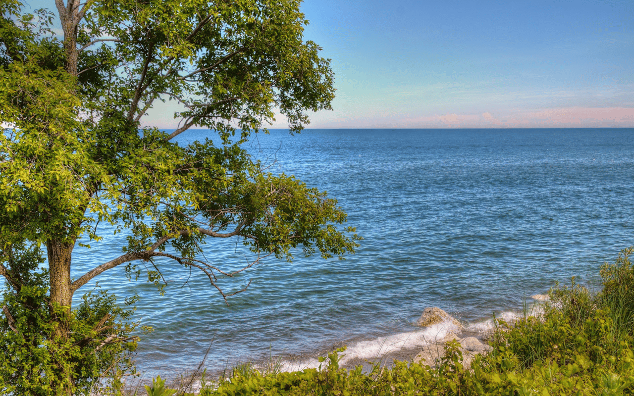 Beach Park