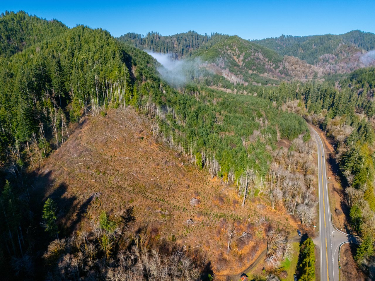 Waite Creek Woodlands