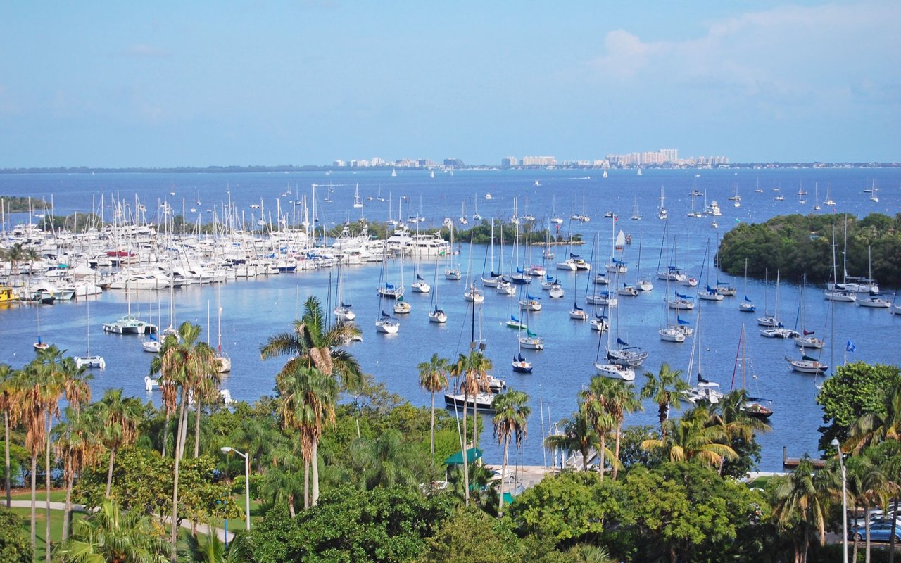 contact-form-background